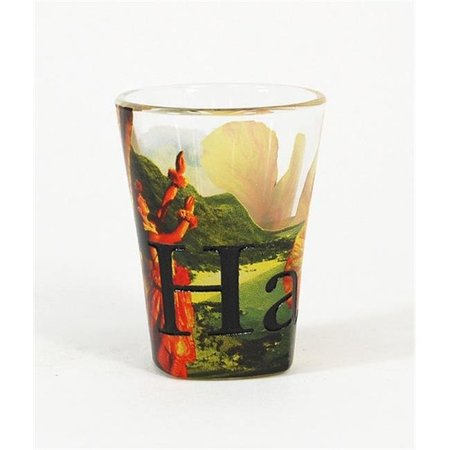 AMERICAWARE Americaware SGHAW01 Hawaii Full Color  Etched  Shot Glass SGHAW01